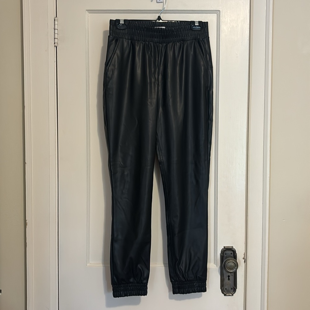 Hudson faux leather pants